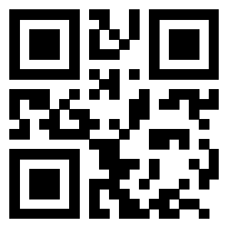 QrCode di 3204095703
