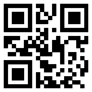 3204160106 - Immagine del QrCode associato