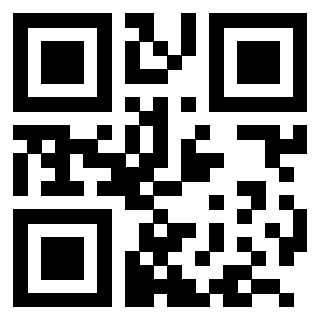 3204160313 - Immagine del QrCode associato
