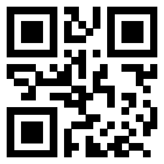 3204160412 - Immagine del QrCode