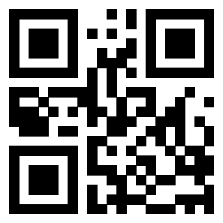 3204160595 QrCode associato
