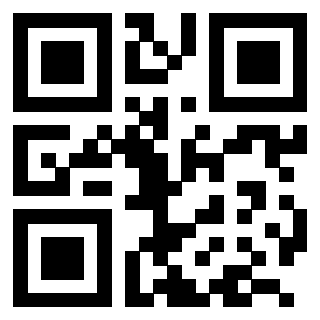 3204160604 - Immagine del QrCode