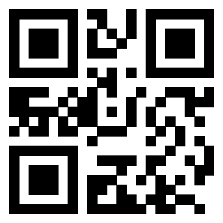 3204200063 - Immagine del QrCode