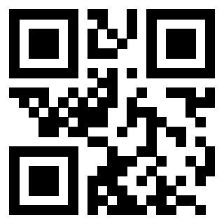 QrCode di 3204238384