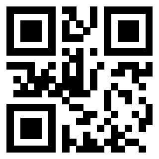 QrCode di 3204238656