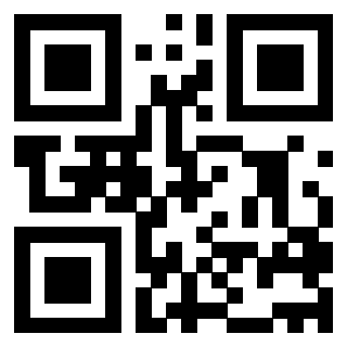 QrCode di 3204238705