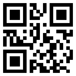 QrCode di 3204239325