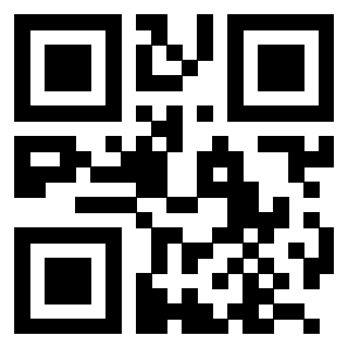 3204316544 QrCode associato