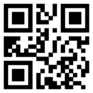 3204317065 Qr Code associato