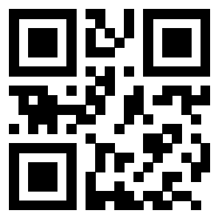 3204424736 - Immagine del QrCode