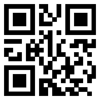 Il Qr Code di 3204653635