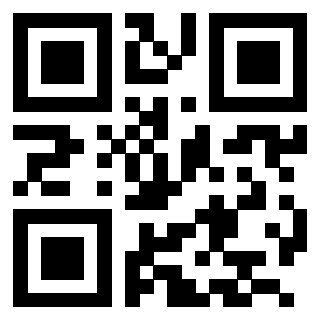 Il Qr Code di 3204653735