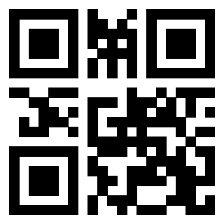 Il Qr Code di 3204739613