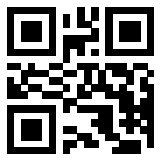 QrCode di 3204769627