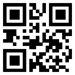 3204781058 - Immagine del QrCode