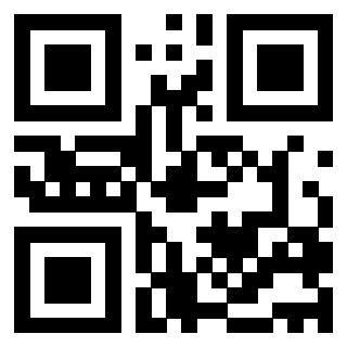 QrCode di 3204858013
