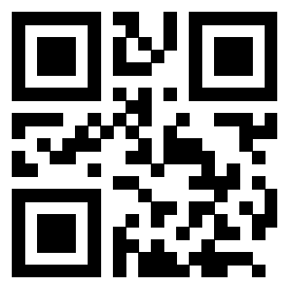 3205016353 - Immagine del QrCode