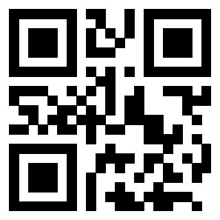 3205016493 - Immagine del QrCode