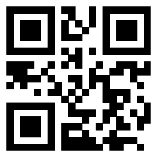 Il Qr Code di 3205020613