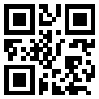 3205020656 - Immagine del QrCode associato