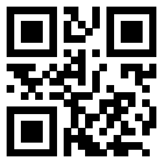 3205020919 - Immagine del QrCode