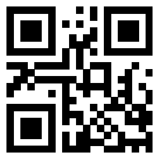 3205076538 - Immagine del QrCode