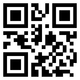 QrCode di 3205076581