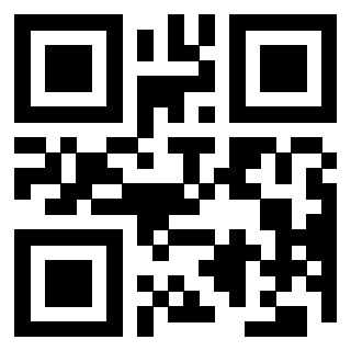 QrCode di 3205239295