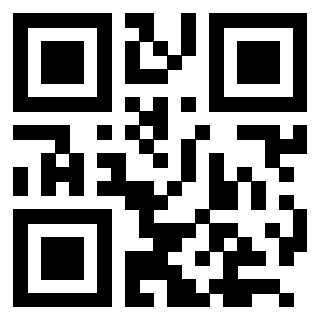 QrCode di 3205239301