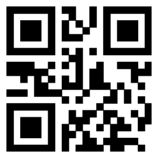 QrCode di 3205239481