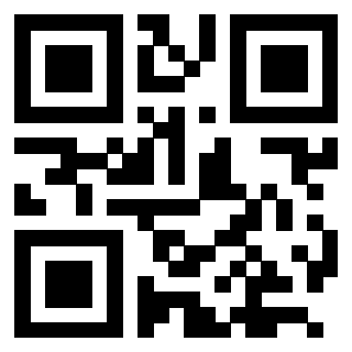 QrCode di 3205239484
