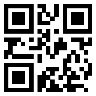Il Qr Code di 3205239597