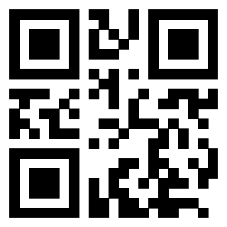 Il Qr Code di 3205239667