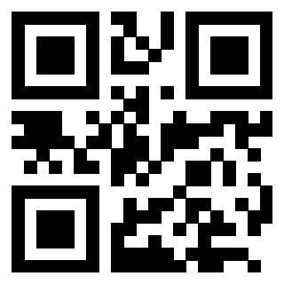 QrCode di 3205239831