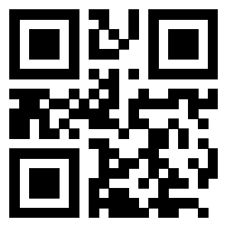 3205239895 QrCode associato