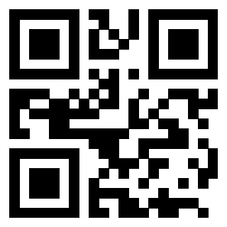 3205349009 - Immagine del QrCode associato