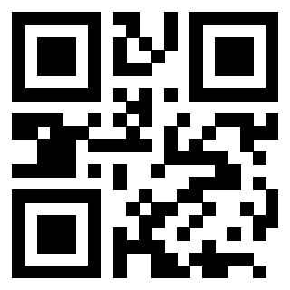 QrCode di 3205349044