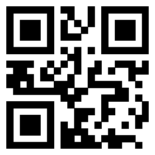 QrCode di 3205349177