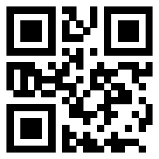 QrCode di 3205349275