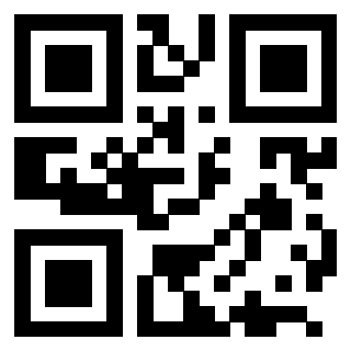 Il Qr Code di 3205357950