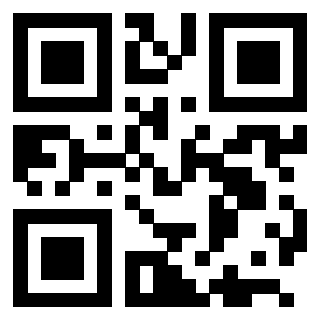 Il Qr Code di 3205358607