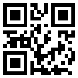 QrCode di 3205371955