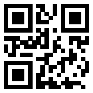 Il Qr Code di 3205371995