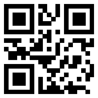 Il Qr Code di 3205386038