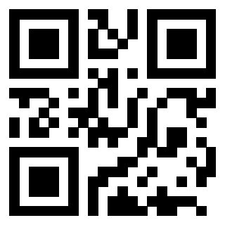 QrCode di 3205386078
