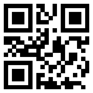 QrCode di 3205386101