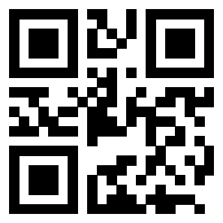 Il Qr Code di 3205454613