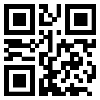 Il QrCode di 3205489289