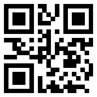 Il QrCode di 3205489606