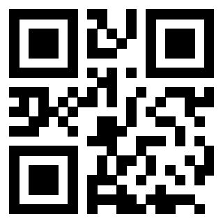 QrCode di 3205490029